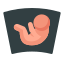 УЗИ на II триместре беременности